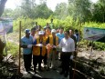 Delta Mangrove Planting