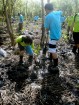 Delta Mangrove Planting