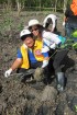 Delta Mangrove Planting
