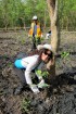 Delta Mangrove Planting