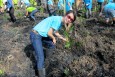 Delta Mangrove Planting