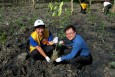 Delta Mangrove Planting