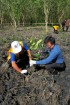 Delta Mangrove Planting