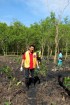 Delta Mangrove Planting