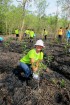 Delta Mangrove Planting
