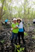 Delta Mangrove Planting