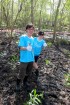 Delta Mangrove Planting