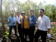 Delta Mangrove Planting