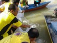 Fish Releasing Project 2013