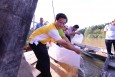 Fish Releasing Project 2013