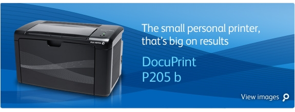 dcp_P205_B_banner.png